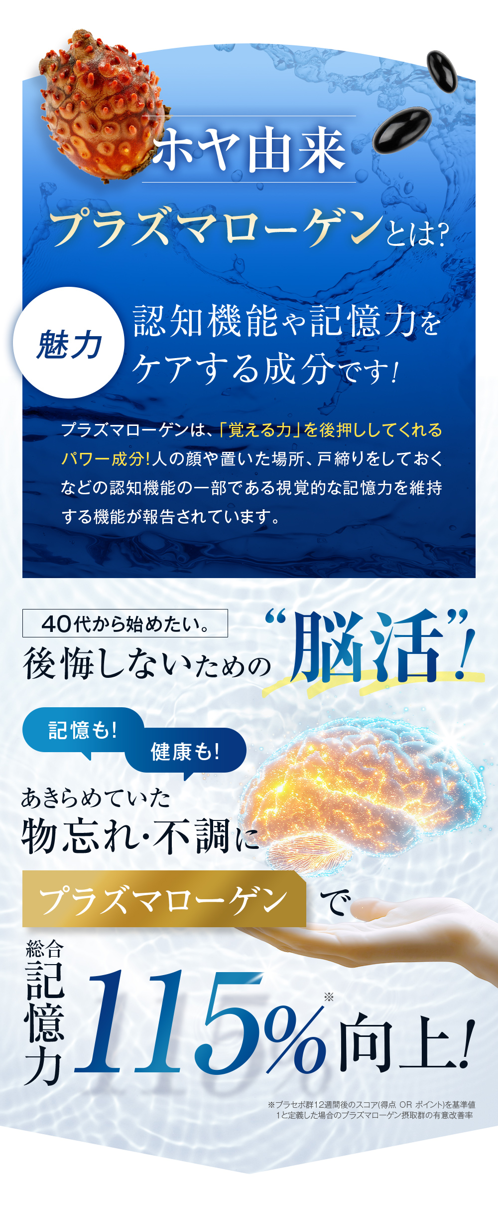 ホヤ由来プラズマローゲンとは