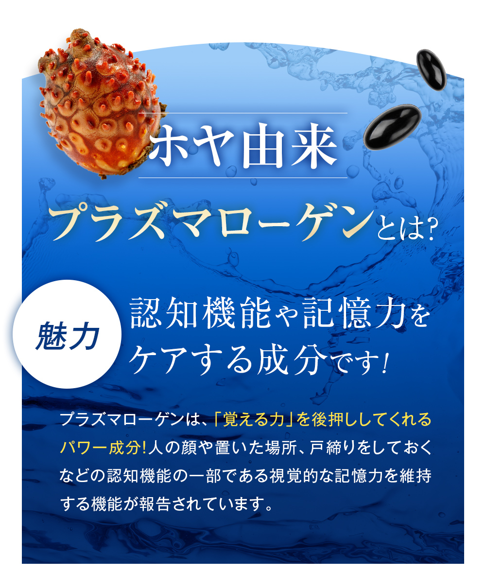 ホヤ由来プラズマローゲンとは