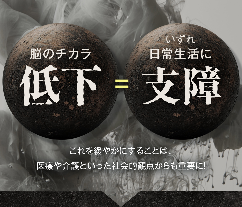 脳の力が低下すると日常生活に使用をきたす可能性が！