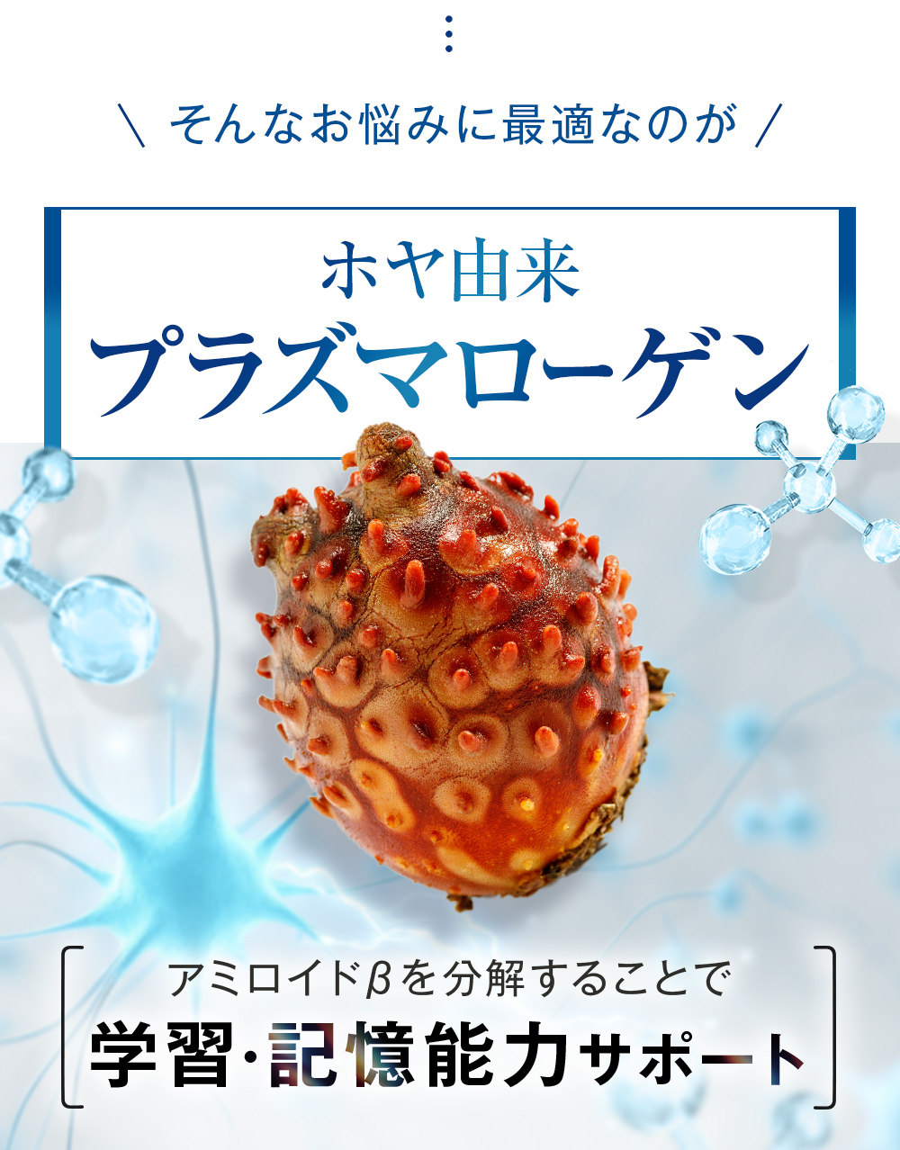 学習・記憶能力が回復