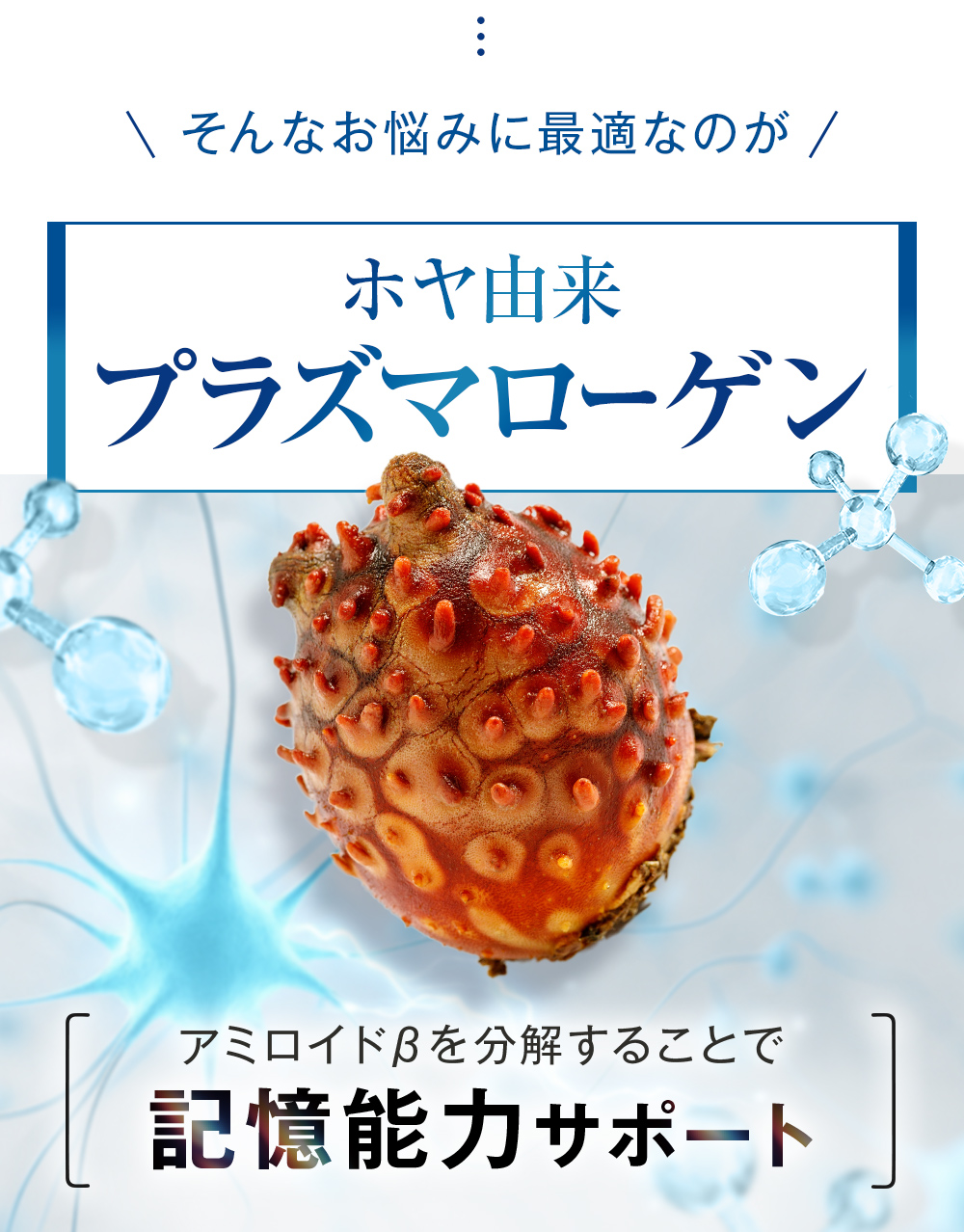 学習・記憶能力が回復