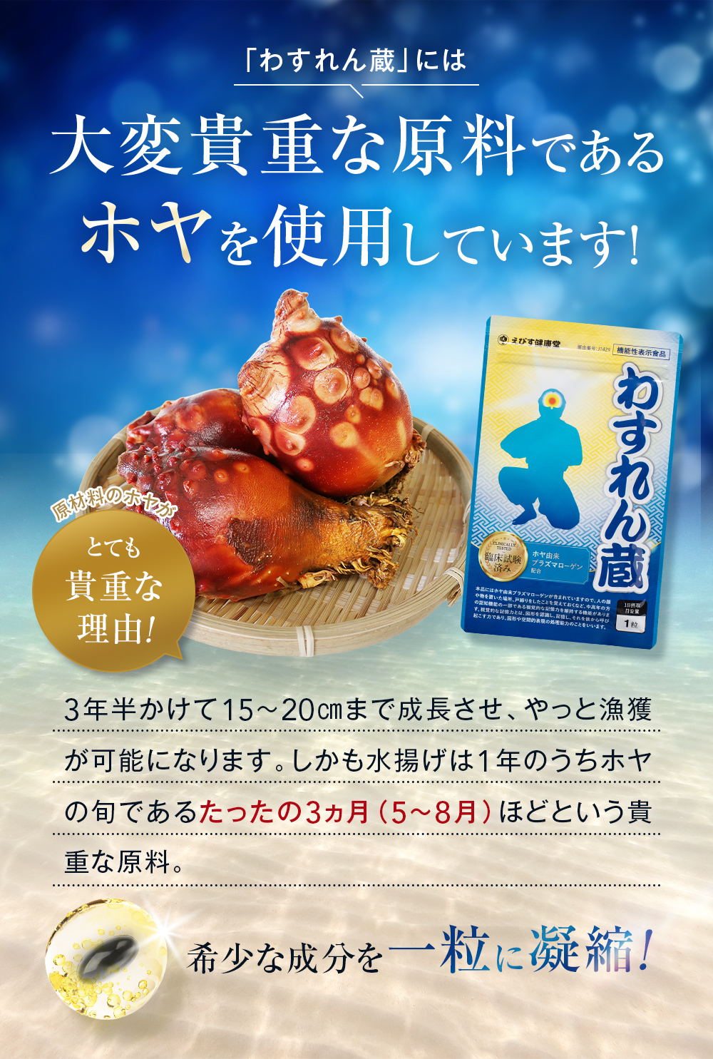 大変貴重な原料であるホヤを使用しています